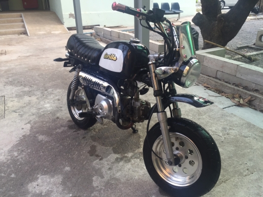 ขายกอลิล่า สีดำเบาะซ้อนสอง