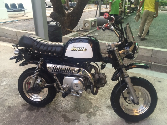 ขายกอลิล่า สีดำเบาะซ้อนสอง