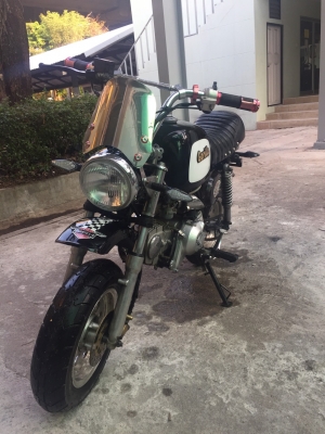 ขายกอลิล่า สีดำเบาะซ้อนสอง