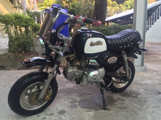 ขายกอลิล่า สีดำเบาะซ้อนสอง