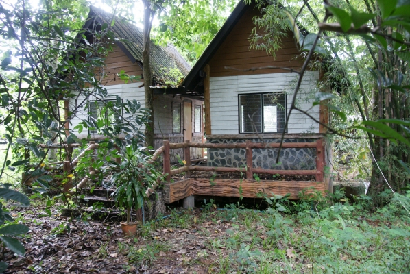 ขายที่(ภ.บ.ท.5)อำเภอทองผาภูมิ เนื้อที่ 2 ไร่ ขายที่(ภ.บ.ท.5)อำเภอทองผาภูมิ เนื้อที่ 2 ไร่