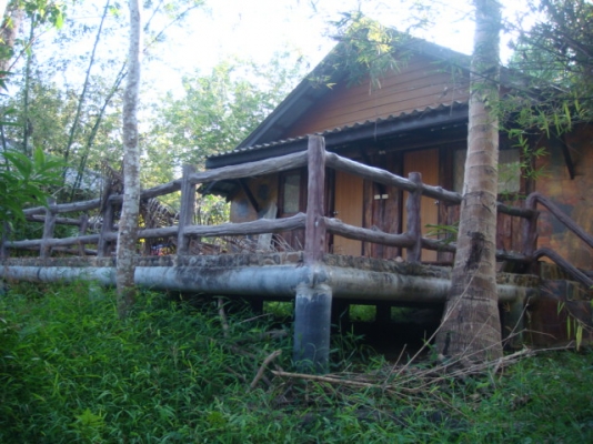 ขายที่(ภ.บ.ท.5)อำเภอทองผาภูมิ เนื้อที่ 2 ไร่