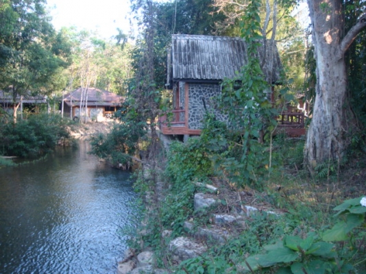 ขายที่(ภ.บ.ท.5)อำเภอทองผาภูมิ เนื้อที่ 2 ไร่