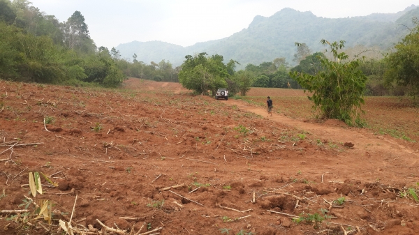 ขาย ที่ดิน 2 แปลง รวม53 ไร่ (ที่ ภ.บ.ท.5)