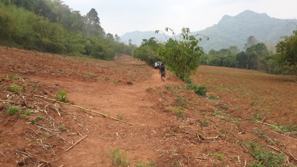 ขาย ที่ดิน 2 แปลง รวม53 ไร่ (ที่ ภ.บ.ท.5)