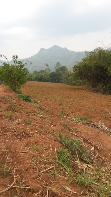 ขาย ที่ดิน 2 แปลง รวม53 ไร่ (ที่ ภ.บ.ท.5)