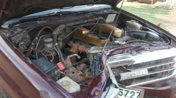 ซากมังกรทอง พร้อมเล่มชุดโอน