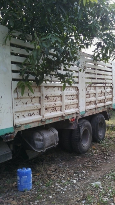 10ล้อดั้ม HINO KT925 เครื่อง HO6CTURBO 220แรงม้าหัวซูโม่ลงเล่มแล้ว 10ล้อดั้ม HINO KT925 เครื่อง HO6CTURBO 220แรงม้าหัวซูโม่ลงเล่มแล้ว