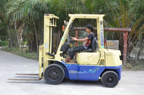 (ลดกระหน่ำ)ขายFORKLIFT MITSUBISHI FD20 (2ตัน) เสา3เมตร สวยเดิมจากญี่ปุ่น ยังไม่เคยใช้ในไทย 140,000เท่านั้น!!