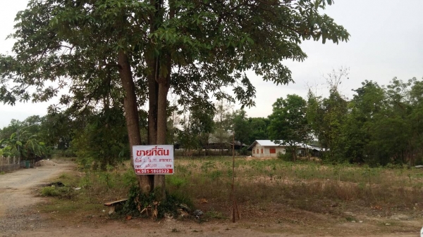 ขายที่ดิน อ.พนมสารคาม