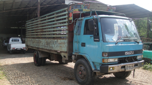 ISUZU ROCKY เครื่อง6BG1(175แรง)ยาว6.30ม.เพาเวอร์ เครื่องแน่น คัสฃีสวยมาก ราคาถูก