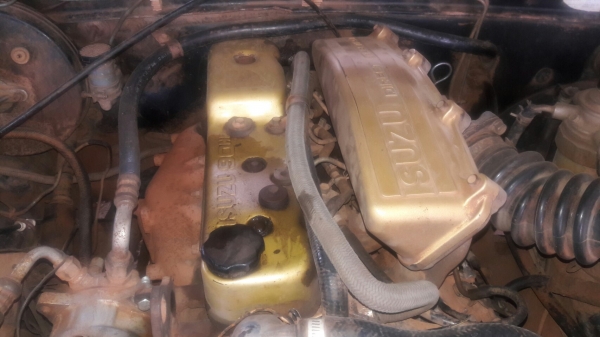 isuzu tfr หัวเดียว