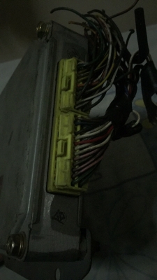 ขายย ขายย