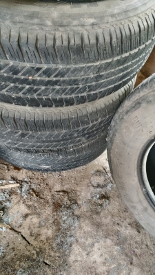 ยางฟอจูนเนอ ยางฟอจูนเนอ