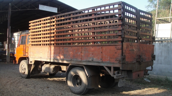 HINO จ้าวอินทรีย์ เครื่องEH700(168แรง)เครื่องแน่นไม่มีไอ ขับดี เบรคดี คัสซีสวยมาก เพาเวอร์ ทะเบียนพร้อม ราคาถูก