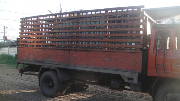 HINO จ้าวอินทรีย์ เครื่องEH700(168แรง)เครื่องแน่นไม่มีไอ ขับดี เบรคดี คัสซีสวยมาก เพาเวอร์ ทะเบียนพร้อม ราคาถูก