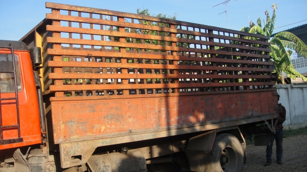 HINO จ้าวอินทรีย์ เครื่องEH700(168แรง)เครื่องแน่นไม่มีไอ ขับดี เบรคดี คัสซีสวยมาก เพาเวอร์ ทะเบียนพร้อม ราคาถูก