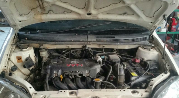 ขายวีออส