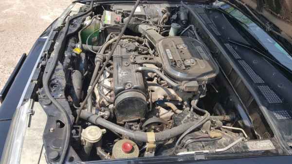 ขาย รถเก๋ง HONDA Accord ปี 1987/2530 เครื่องคาบู 1955 ซีซี เกียร์ออโต้ ล้อแมกซ์ขอบ 17 นิ้ว พร้อมยางใหม่ แอร์เย็นฉ่ำ แต่งชุดสเกิร์ตเหล็กรอบคัน ทะเบียนเต็มพร้อมโอน ขาย รถเก๋ง HONDA Accord ปี 1987/2530 เครื่องคาบู 1955 ซีซี เกียร์ออโต้ ล้อแมกซ์ขอบ 17 นิ้ว พร้อมยางใหม่ แอร์เย็นฉ่ำ แต่งชุดสเกิร์ตเหล็กรอบคัน ทะเบียนเต็มพร้อมโอน