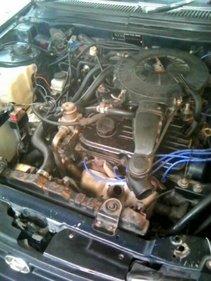 ขายถูกๆ