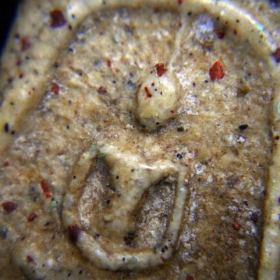 พระสมเด็จวัดระฆังพิมพ์ใหญ่ A01 เนื้อสวยจับใจ มวลสารงามๆ น่าค้นหา