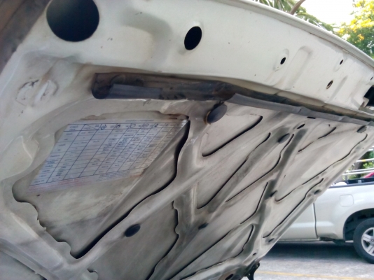 ขาย ไม้ต้เอ็ก ปี 95 พาวเว่อร์ สภาพดีมาก ขับดีเยี่ยม สมบูรณ์ทุกระบบ การันตีสภาพ เล่มพร้อมโอน