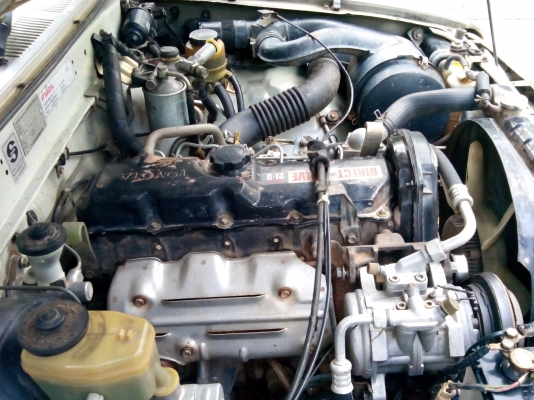 ขาย ไม้ต้เอ็ก ปี 95 พาวเว่อร์ สภาพดีมาก ขับดีเยี่ยม สมบูรณ์ทุกระบบ การันตีสภาพ เล่มพร้อมโอน