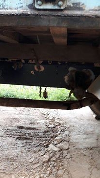 รถ 6 ล้อ ISUZU FRR เครื่อง 165 แรง ยาว 6 ม. ยาง 8.25