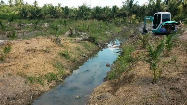 ขายที่ดินสมุทรสงคราม หลายแปลง ติดคลองแม่กลอง ติดแม่น้ำแม่กลอง สวนมะพร้าว ที่เปล่า เราหาให้คุณได้ ติดต่อ 0984699609 Line: Niintouch  และให้เช่าสวนมะพร้าวของผมเอง ไร่ละ400บาท/เดือน ทำการเกษรปลูกพืชได้ทุกชนิดอีกหลายแปลง ติดต่อ 0984699609 Line: Niintouch