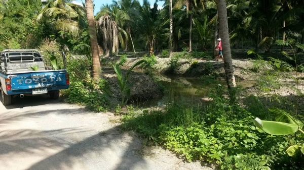 ขายที่ดินสมุทรสงคราม หลายแปลง ติดคลองแม่กลอง ติดแม่น้ำแม่กลอง สวนมะพร้าว ที่เปล่า เราหาให้คุณได้ ติดต่อ 0984699609 Line: Niintouch  และให้เช่าสวนมะพร้าวของผมเอง ไร่ละ400บาท/เดือน ทำการเกษรปลูกพืชได้ทุกชนิดอีกหลายแปลง ติดต่อ 0984699609 Line: Niintouch