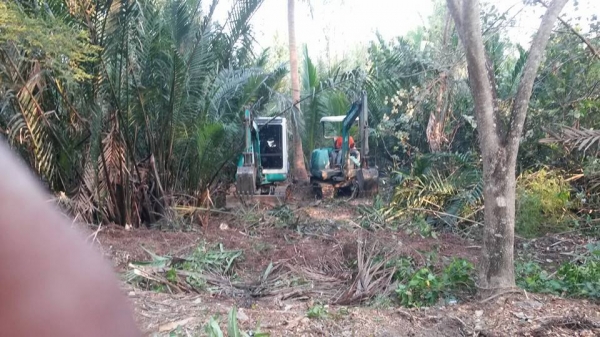 ขายที่ดินสมุทรสงคราม หลายแปลง ติดคลองแม่กลอง ติดแม่น้ำแม่กลอง สวนมะพร้าว ที่เปล่า เราหาให้คุณได้ ติดต่อ 0984699609 Line: Niintouch และให้เช่าสวนมะพร้าวของผมเอง ไร่ละ400บาท/เดือน ทำการเกษรปลูกพืชได้ทุกชนิดอีกหลายแปลง ติดต่อ 0984699609 Line: Niintouch ขายที่ดินสมุทรสงคราม หลายแปลง ติดคลองแม่กลอง ติดแม่น้ำแม่กลอง สวนมะพร้าว ที่เปล่า เราหาให้คุณได้ ติดต่อ 0984699609 Line: Niintouch และให้เช่าสวนมะพร้าวของผมเอง ไร่ละ400บาท/เดือน ทำการเกษรปลูกพืชได้ทุกชนิดอีกหลายแปลง ติดต่อ 0984699609 Line: Niintouch