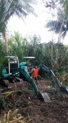 ขายที่ดินสมุทรสงคราม หลายแปลง ติดคลองแม่กลอง ติดแม่น้ำแม่กลอง สวนมะพร้าว ที่เปล่า เราหาให้คุณได้ ติดต่อ 0984699609 Line: Niintouch และให้เช่าสวนมะพร้าวของผมเอง ไร่ละ400บาท/เดือน ทำการเกษรปลูกพืชได้ทุกชนิดอีกหลายแปลง ติดต่อ 0984699609 Line: Niintouch ขายที่ดินสมุทรสงคราม หลายแปลง ติดคลองแม่กลอง ติดแม่น้ำแม่กลอง สวนมะพร้าว ที่เปล่า เราหาให้คุณได้ ติดต่อ 0984699609 Line: Niintouch และให้เช่าสวนมะพร้าวของผมเอง ไร่ละ400บาท/เดือน ทำการเกษรปลูกพืชได้ทุกชนิดอีกหลายแปลง ติดต่อ 0984699609 Line: Niintouch