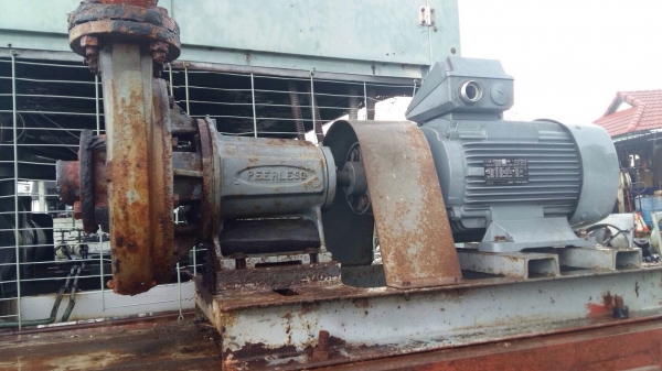 ( เหลือ 2 ตัวครับ )ขายปั้มน้ำหอยโข่ง Peerless made in USA ขนาดเข้า 2.5นิ้ว ออก 2นิ้ว รุ่นส่งไกลใบพัดทองเหลือง พร้อมมอเตอร์ VEM made in Germany 15HP. 380V สภาพดี วิ่งนิ่ม พร้อมใช้งาน มี 3ตัวครับ