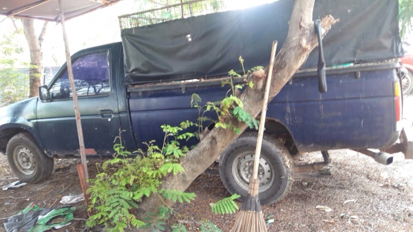 ขายเหมา แม็คโครเล็ก แยกซื้อได้