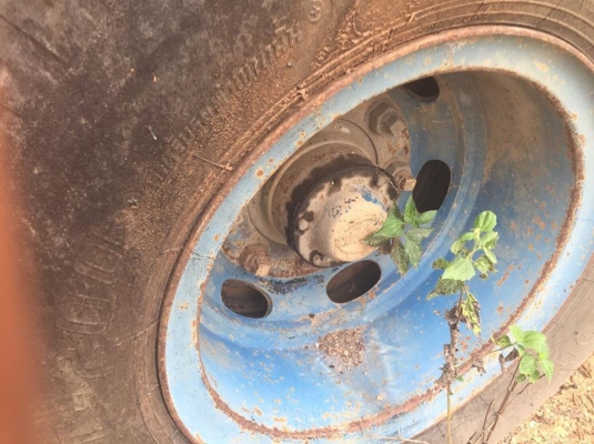 หางลูกพ่วงไม่ดั้ม 2 คาน ปี 39 ช่วงล่างดี คัสซีสวย สีและฝาข้างไม่ค่อยสวย