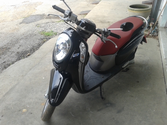 สกู๊ปปี้ ปี 56