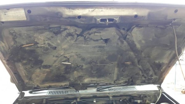 ขายกระบะนิสสัน ปี32 พร้อมหลังคา แชชซีดี เครื่องเดิม เอกสารเล่มทะเบียนครบ ขายกระบะนิสสัน ปี32 พร้อมหลังคา แชชซีดี เครื่องเดิม เอกสารเล่มทะเบียนครบ