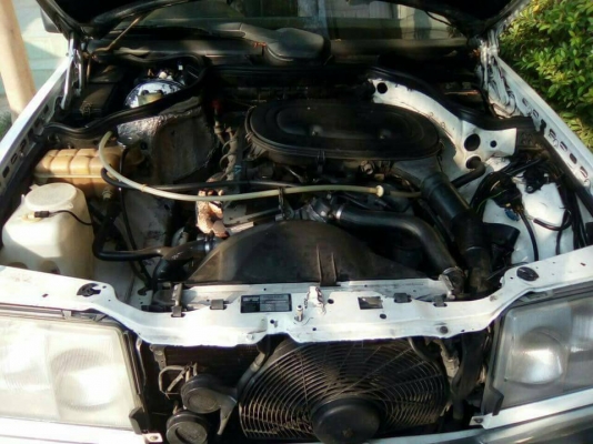 BENZ. 230 ปี88 ออโต้ พร้อมใช้ BENZ. 230 ปี88 ออโต้ พร้อมใช้