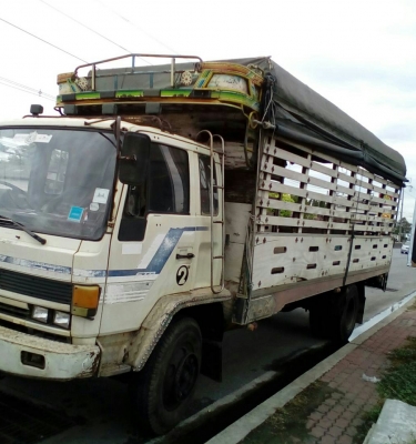 หกล้อ อีซูชุ ร็อคกี้ FTR165ช่วงยาว 6.50ม พ.เวอร์ สภาพดีสวยเดิมๆพร้อมใช้งาน ทะเบียนพร้อมโอน หกล้อ อีซูชุ ร็อคกี้ FTR165ช่วงยาว 6.50ม พ.เวอร์ สภาพดีสวยเดิมๆพร้อมใช้งาน ทะเบียนพร้อมโอน