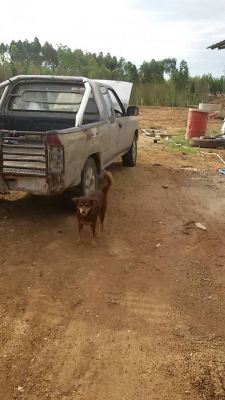 โตโยต้า มายตี้ เอ็ก