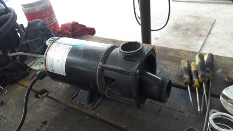 ปั้มน้ำ ขนาด 1 แรงม้า ไฟบ้าน ปั้มน้ำ ขนาด 1 แรงม้า ไฟบ้าน