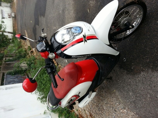 ขายสกู้ปปี้ปี52 เครื่องดี สีสวย พร้อมใช้งาน