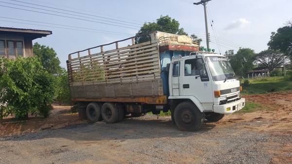 ขาย10ล้อ1เพลาดัมพ์เกษตร อีซูซุ ร็อคกี้ FVM 185ฝาส้ม เบรคทิ๊ฟฟี่ แชชซีสวย เครื่องแน่น เอกสารเล่มทะเบีบนครบ ขาย10ล้อ1เพลาดัมพ์เกษตร อีซูซุ ร็อคกี้ FVM 185ฝาส้ม เบรคทิ๊ฟฟี่ แชชซีสวย เครื่องแน่น เอกสารเล่มทะเบีบนครบ