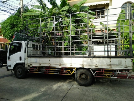 หกล้อ อีซูชุ NPR150ปี52 ยาว 5ม สภาพดีสวยพร้อมใช้งาน ทะเบียนพร้อมโอน