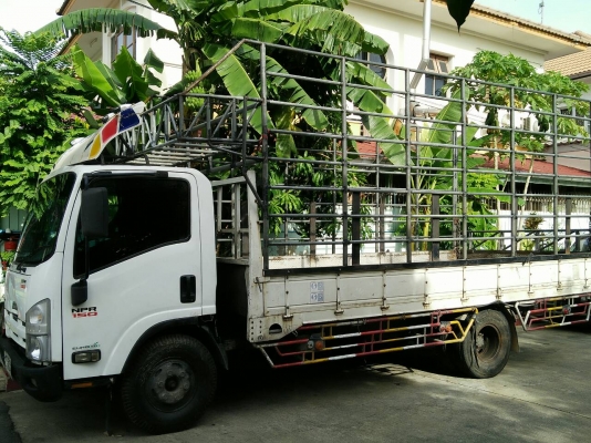 หกล้อ อีซูชุ NPR150ปี52 ยาว 5ม สภาพดีสวยพร้อมใช้งาน ทะเบียนพร้อมโอน