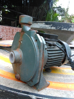 ขายปั้มน้ำ ขนาด1นิ้ว 1แรง ราคาถูก ขายปั้มน้ำ ขนาด1นิ้ว 1แรง ราคาถูก