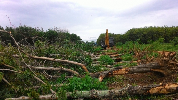 ขายหรือแลกรถขุด  ดาวน์พ่วงแม่ลูก ISUZU DECA 270Euro 2 650,000 พร้อมงานวิ่ง