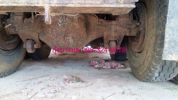 ขายรถบรรทุกดัมพ์ Mitsubishi TF#1,7xx เครื่องเดิม 6D16 turbo-220 แรง 2 เพลา ปี 41 ทะเบียนพร้อม