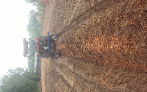 ผานยกร่อง. ร่องอ้อย ร่องมัน ผานยกร่อง. ร่องอ้อย ร่องมัน