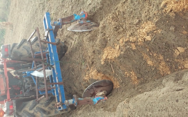 ผานยกร่อง. ร่องอ้อย ร่องมัน ผานยกร่อง. ร่องอ้อย ร่องมัน